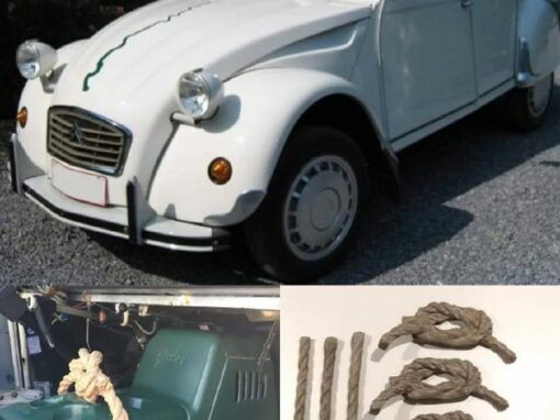 Cordages complets pour glacière de 2CV série spéciale Perrier